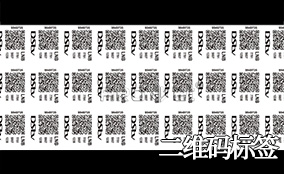 百乐博blbA-1喷码平台一体机Technical Parameters